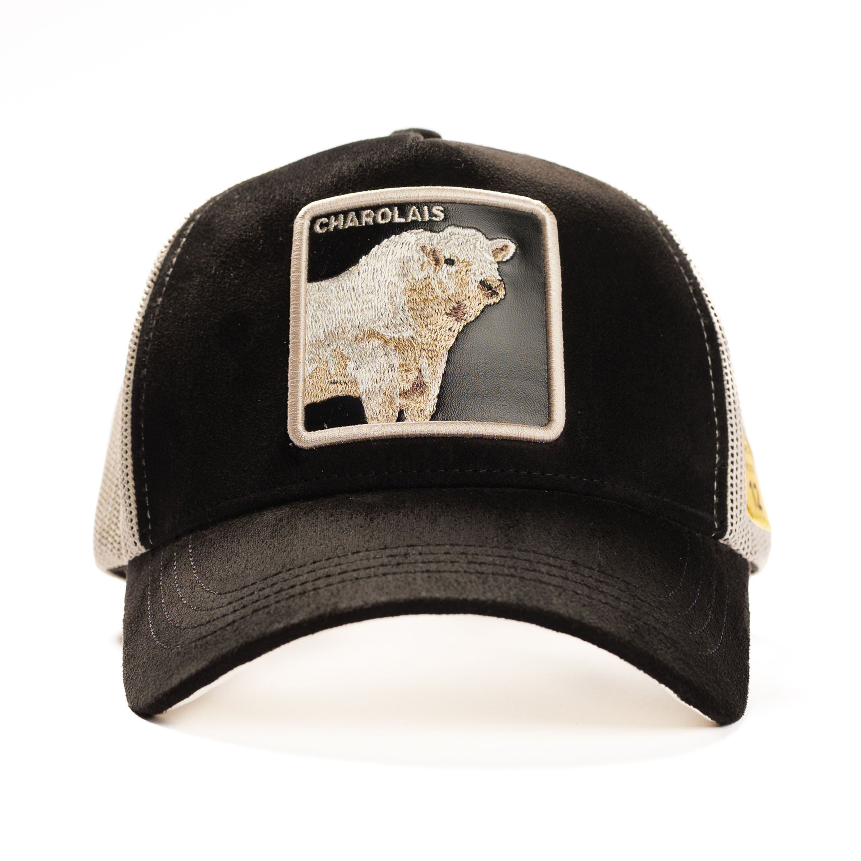 2411-DRhats-1040962.jpg