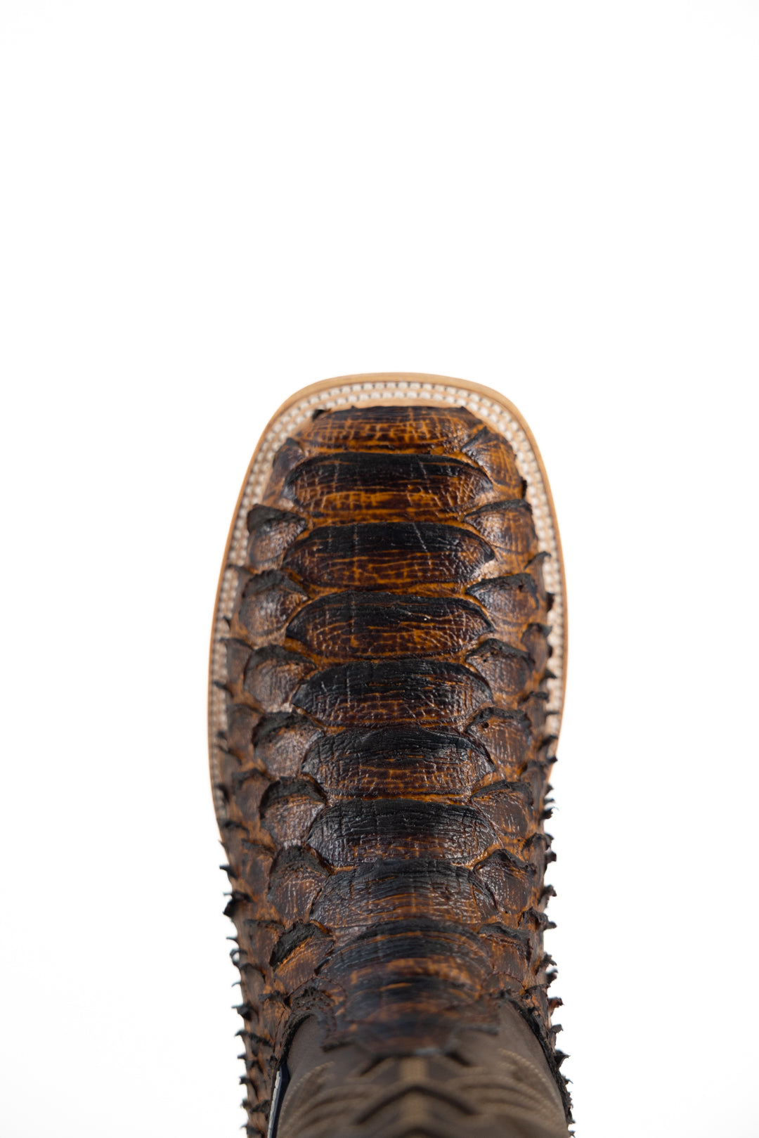 Bradley Python Square Toe Cowboy Boot