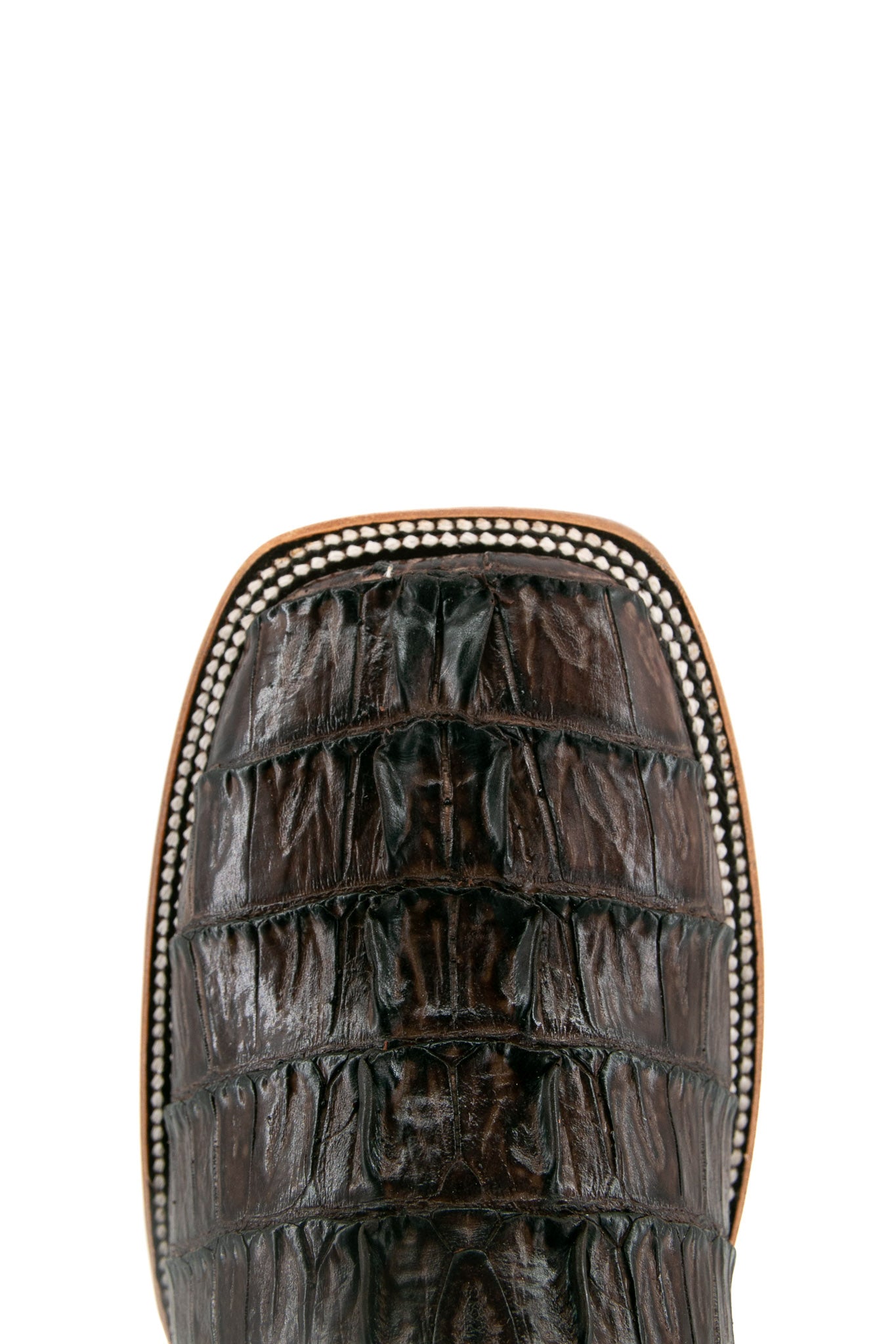 Top-down close-up of brown Caiman Tail Hornback cowboy boot vamp, showcasing the brown caiman print detail and square toe.
