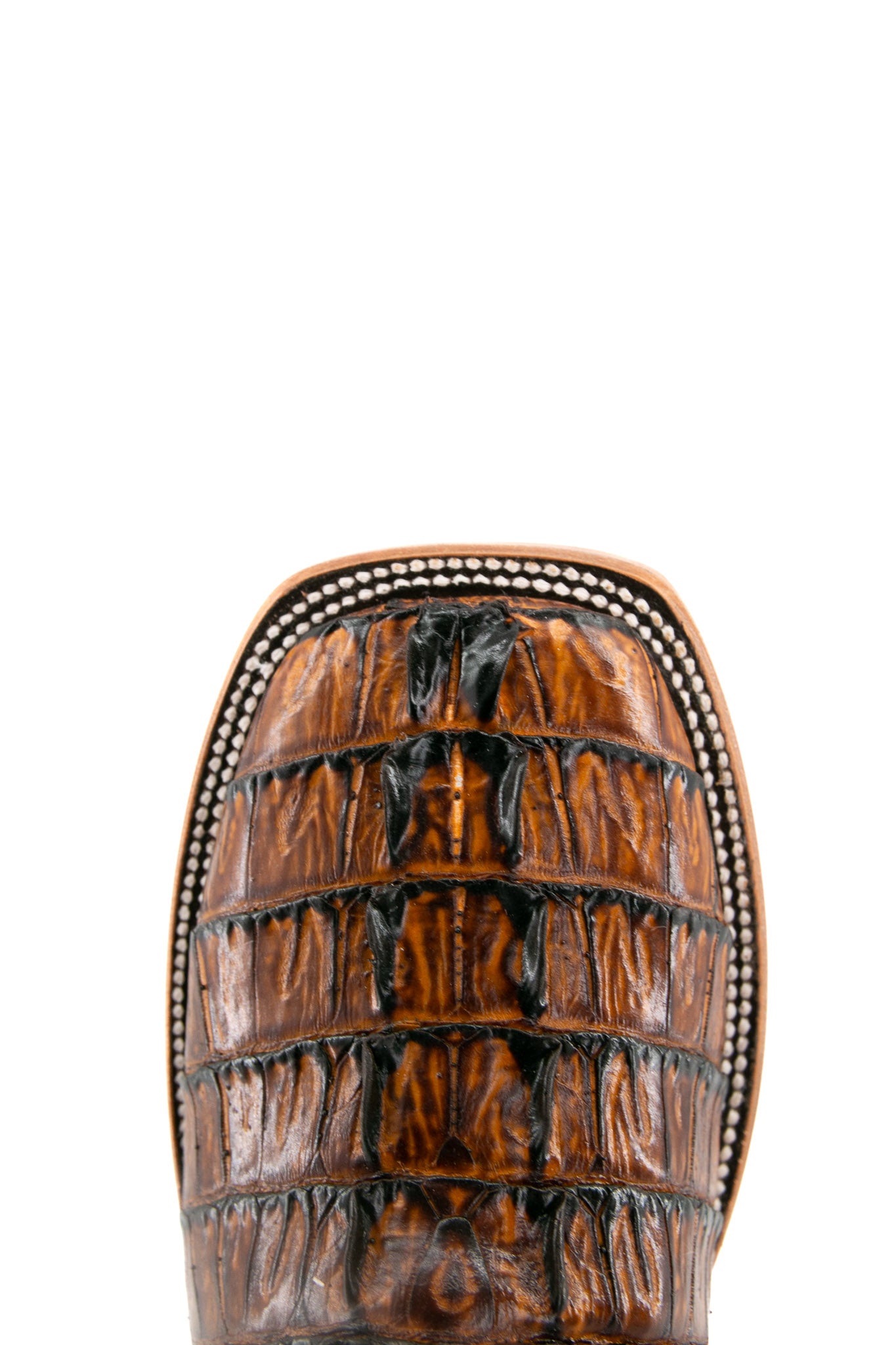 Top-down close-up of honey Caiman Tail Hornback cowboy boot vamp, showcasing the honey caiman print detail and square toe.
