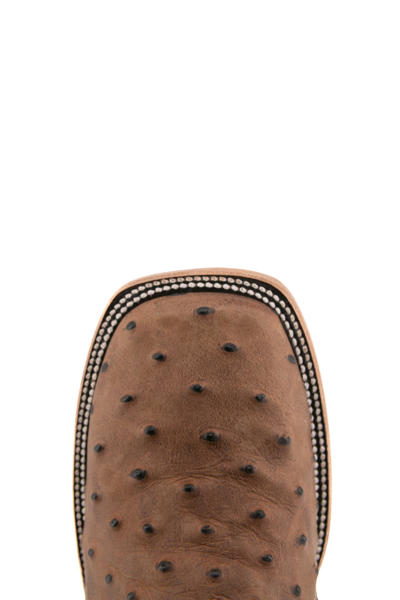 Top-down close-up of the Rustic Honey Ostrich Matte cowboy boot vamp showing the ostrich print detail and square toe.