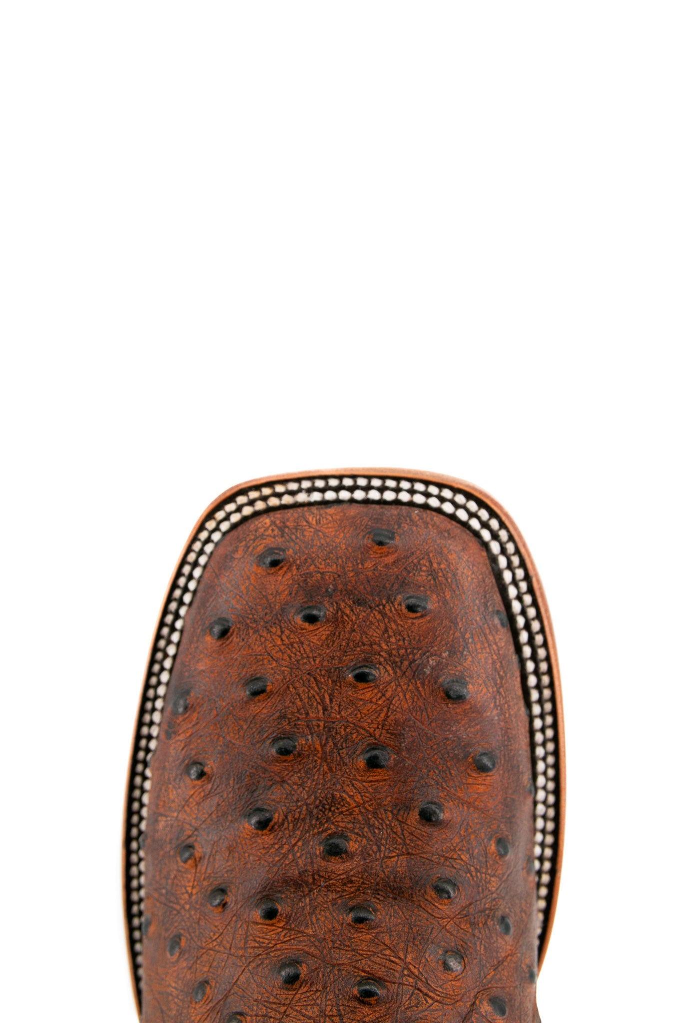 Top-down close-up of the Rustic Shedron Ostrich Matte cowboy boot vamp showing the ostrich print detail and square toe.
