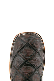Top-down close-up of brown Big Bass Pirarucu Matte cowboy boot vamp, showcasing the brown pirarucu print detail and square toe.