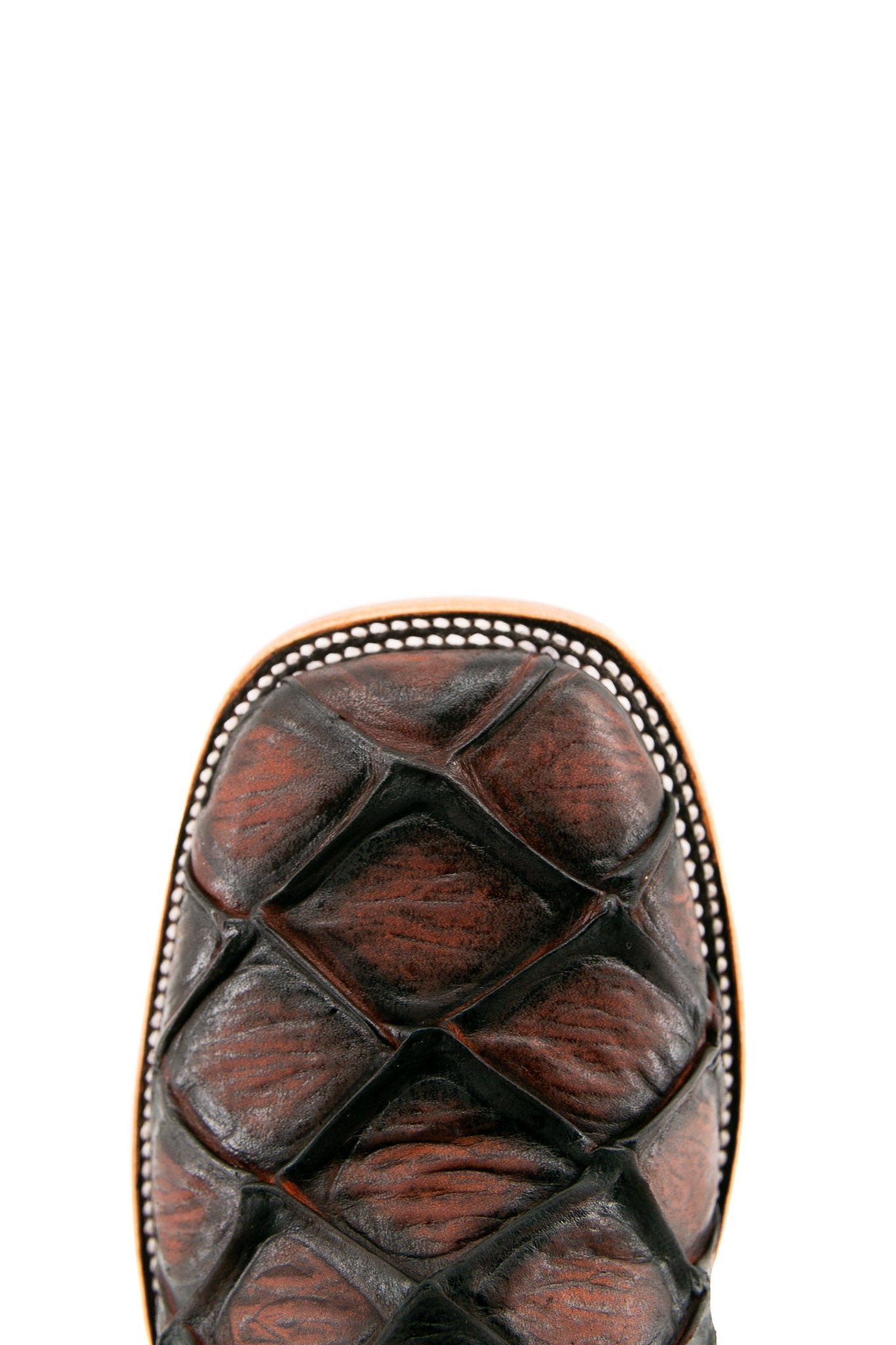 Top-down close-up of shedron Big Bass Pirarucu Matte cowboy boot vamp, showcasing the shedron pirarucu print detail and square toe.