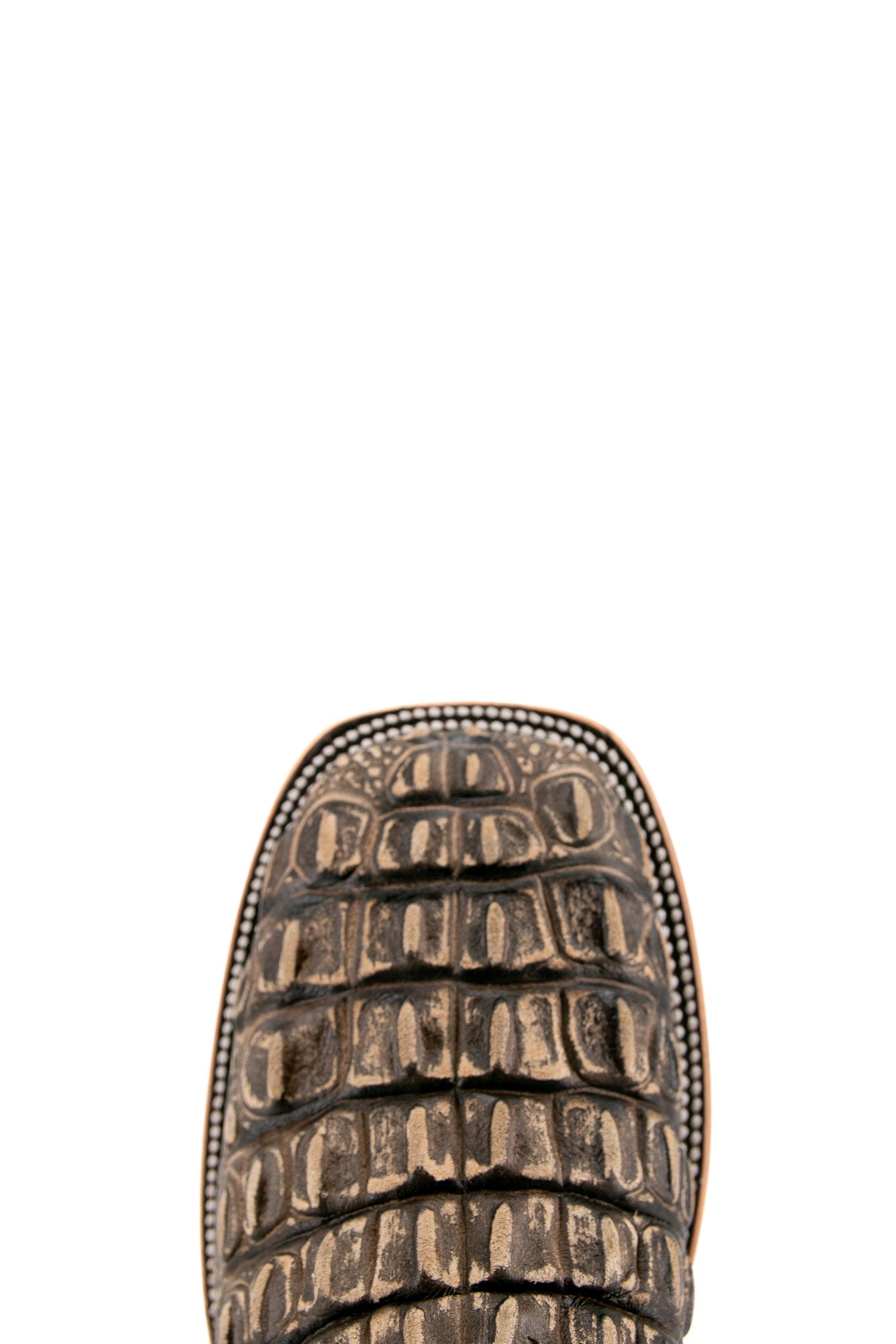 Top-down close-up of rustic bone Giant Caiman Hornback cowboy boot vamp, highlighting the cream and brown caiman print detail and square toe.