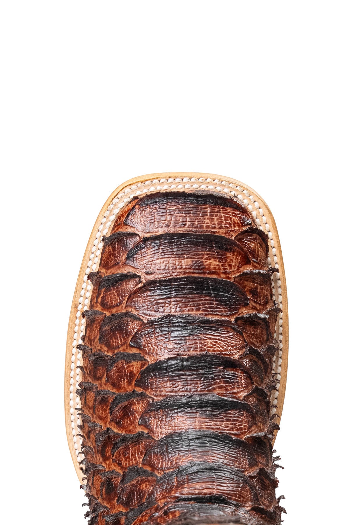 Bradley Python Square Toe Cowboy Boot