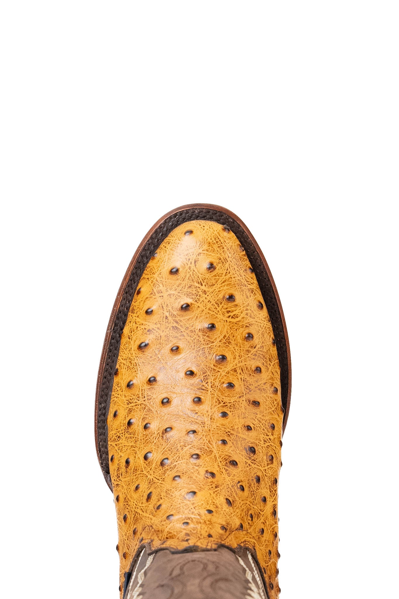 Lawrence Ostrich Round Toe Cowboy Boot FINAL SALE