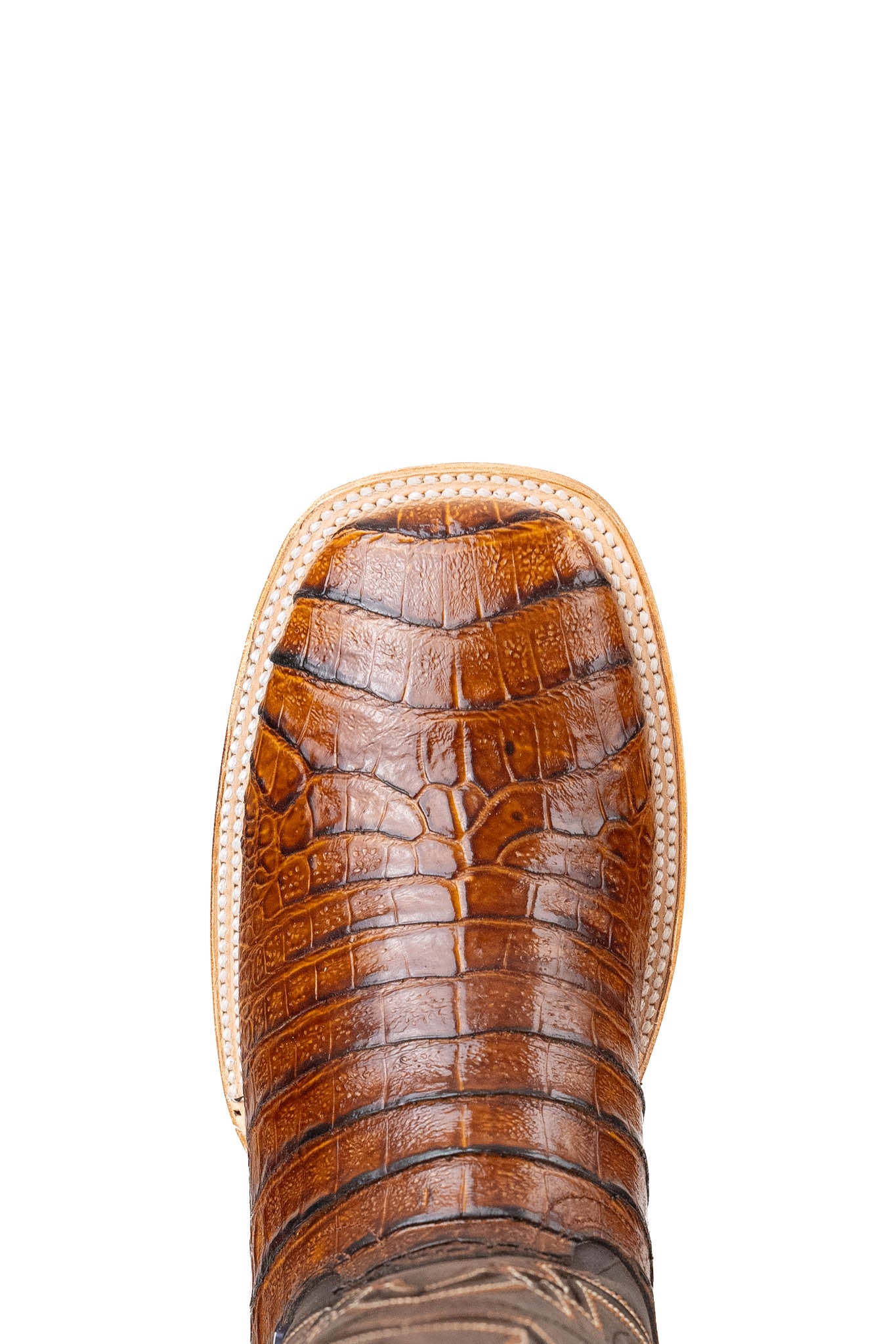 Top-down close-up of the Bruce Belly Caiman cowboy boot vamp in honey, highlighting the honey bull neck print, double stitching, and round toe shape.
