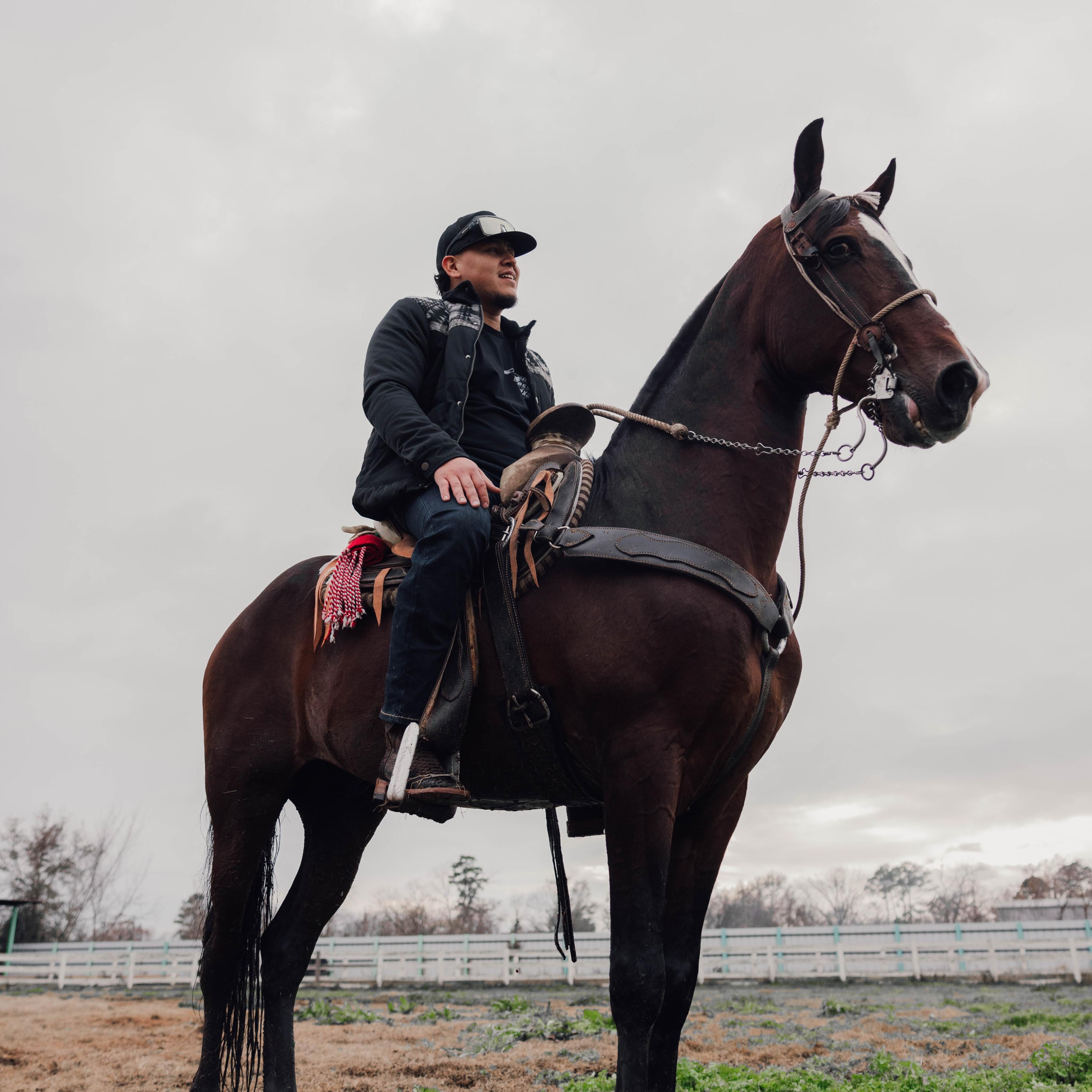 FreddyLSX's Top Picks