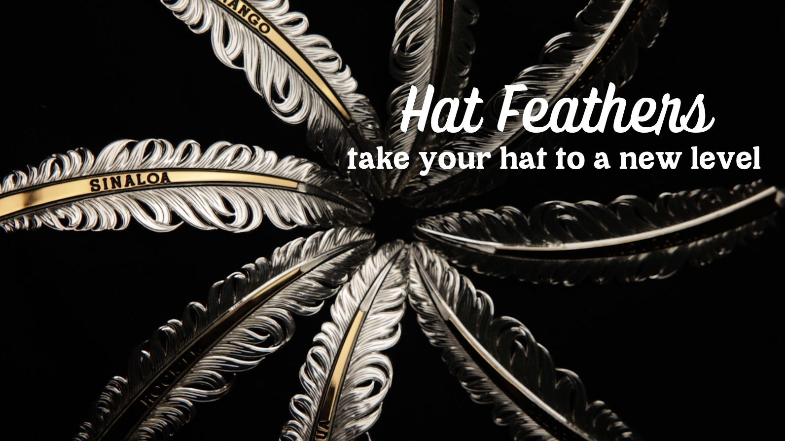 Hat Feathers
