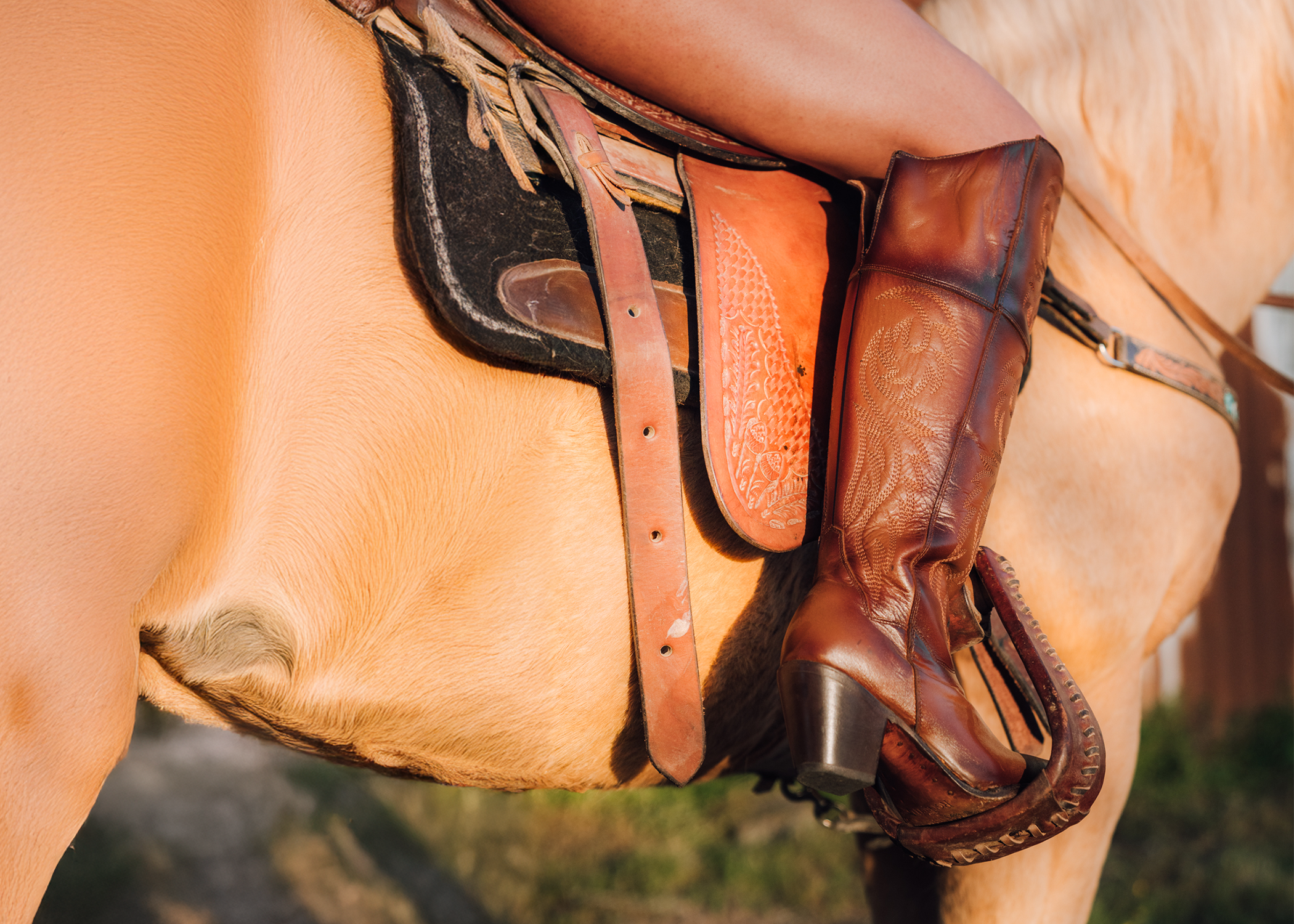 Women's Knee High Boot Collection