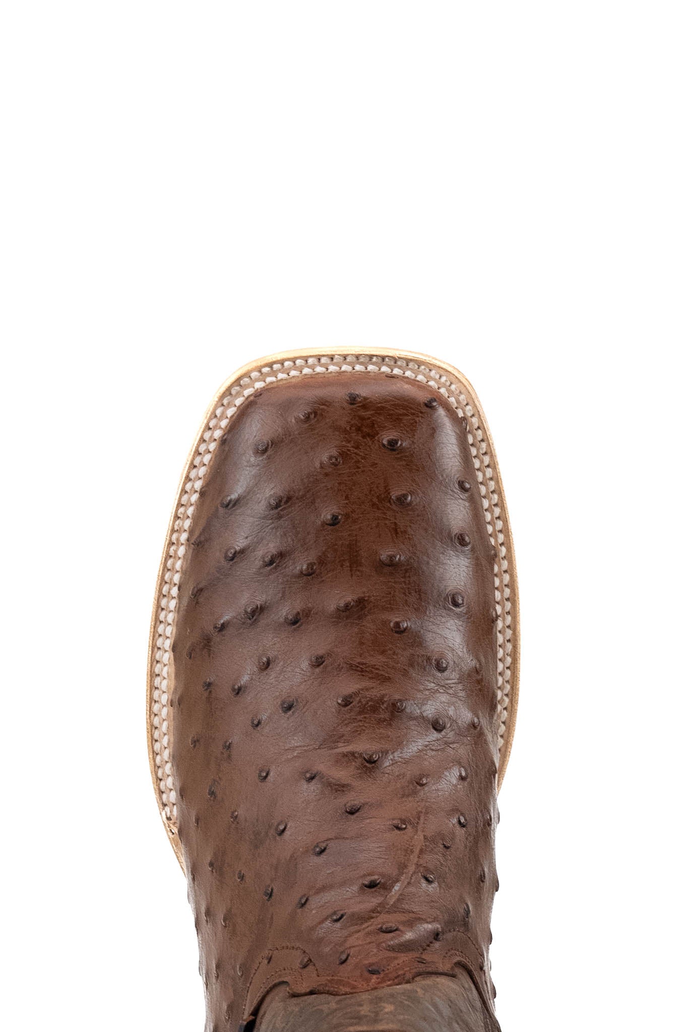 Walter Ostrich Exotic Square Toe Cowboy Boot