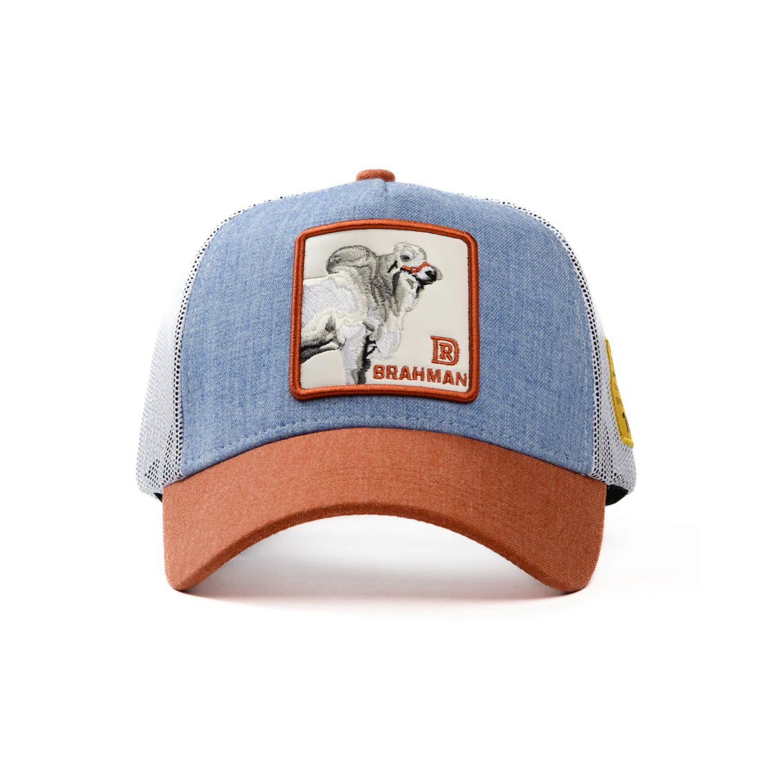 Brahman Hat