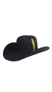 Stetson 100X The Golden Eagle Cowboy Hat