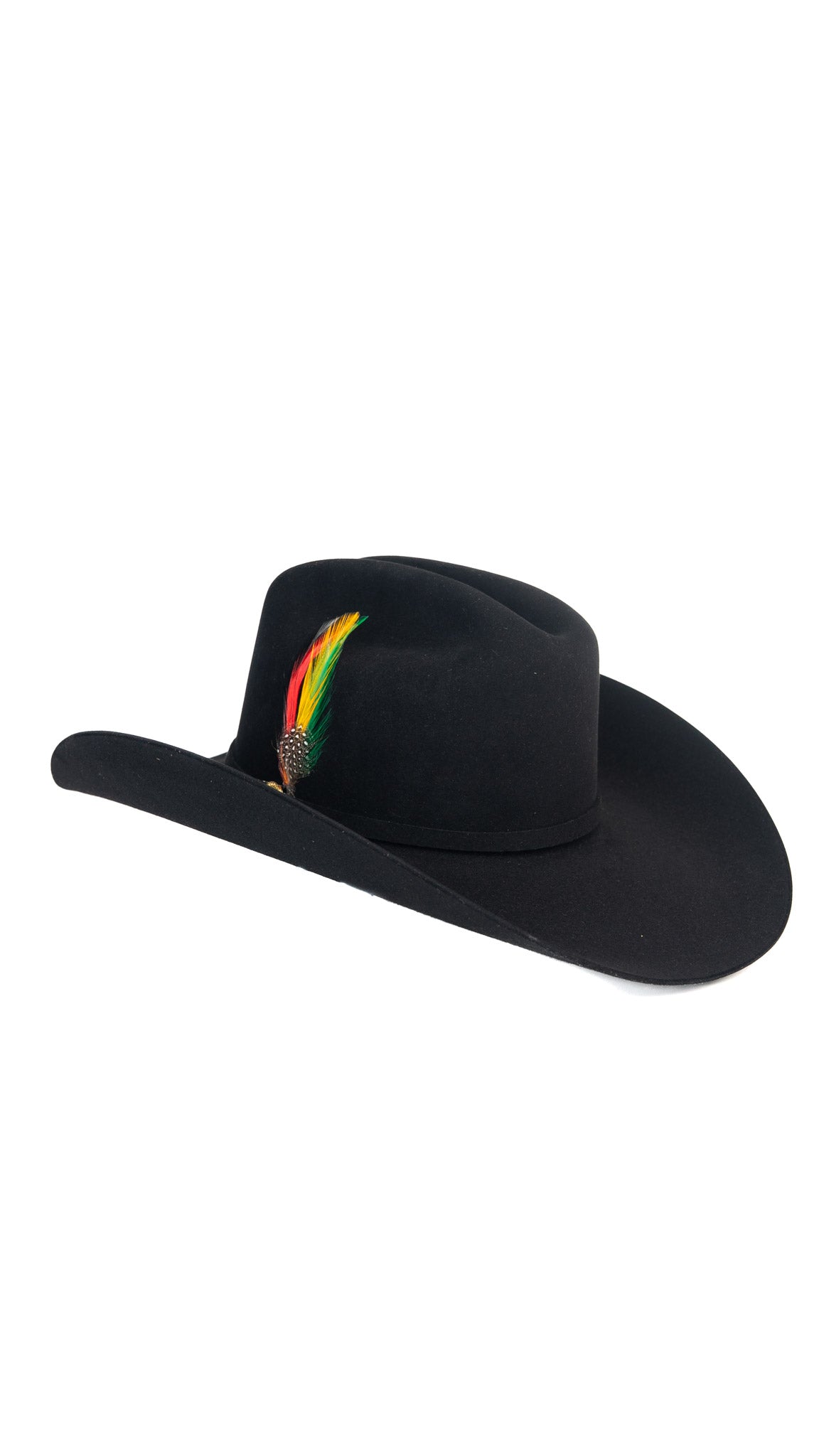Stetson 100X The Golden Eagle Cowboy Hat