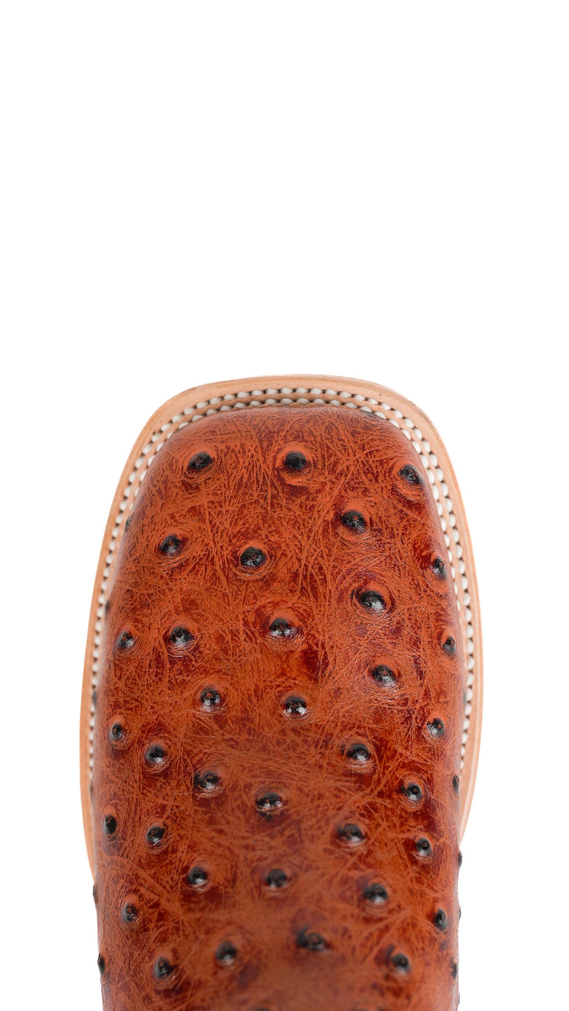 Bruce Ostrich Square Toe Cowboy Boot