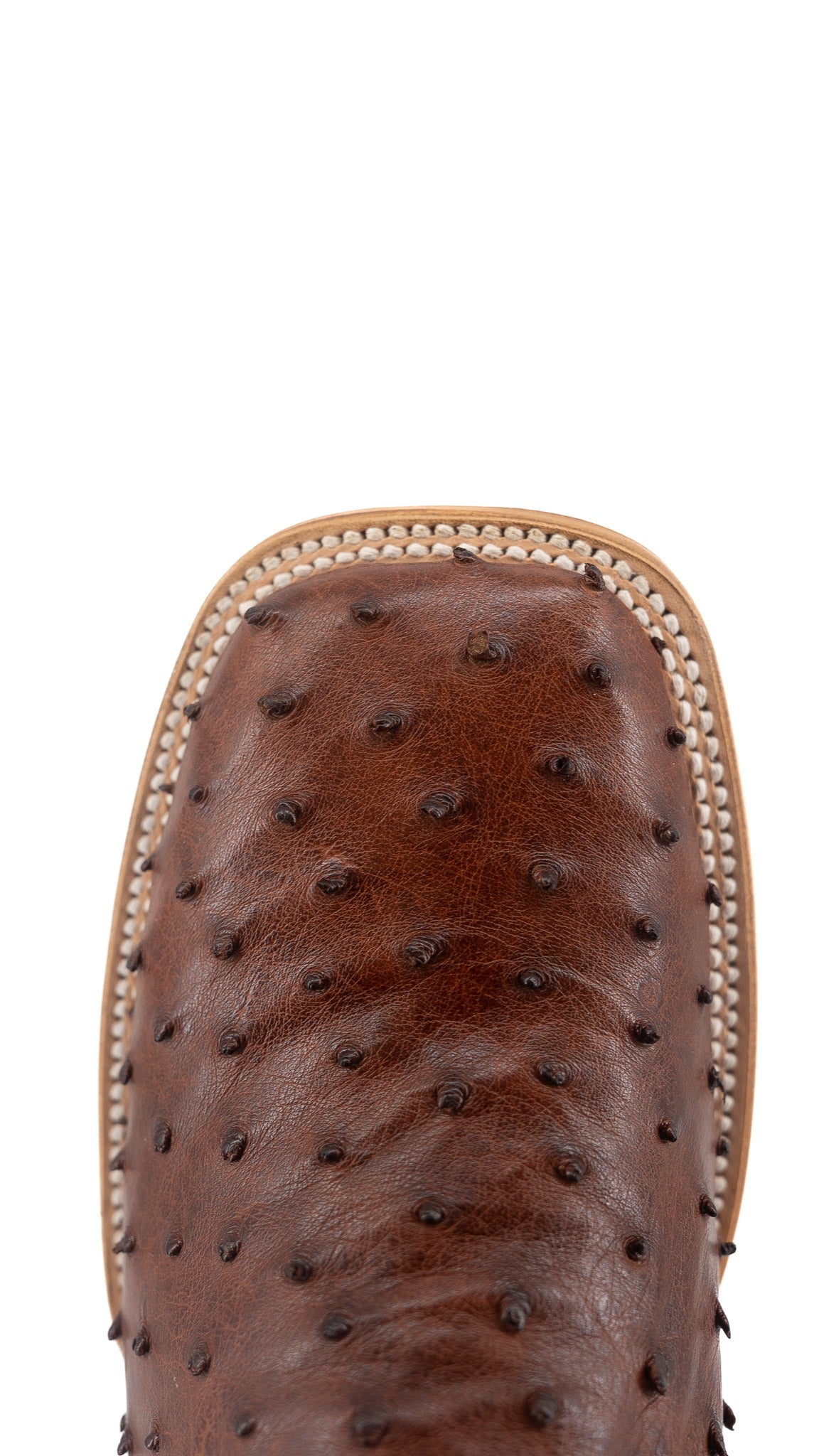 Walter Ostrich Exotic Square Toe Cowboy Boot