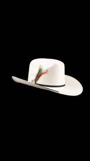 Lucas Sinaloa 100X Straw Hat