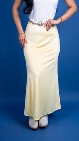 Elaine Satin Elastic Waist Skirt