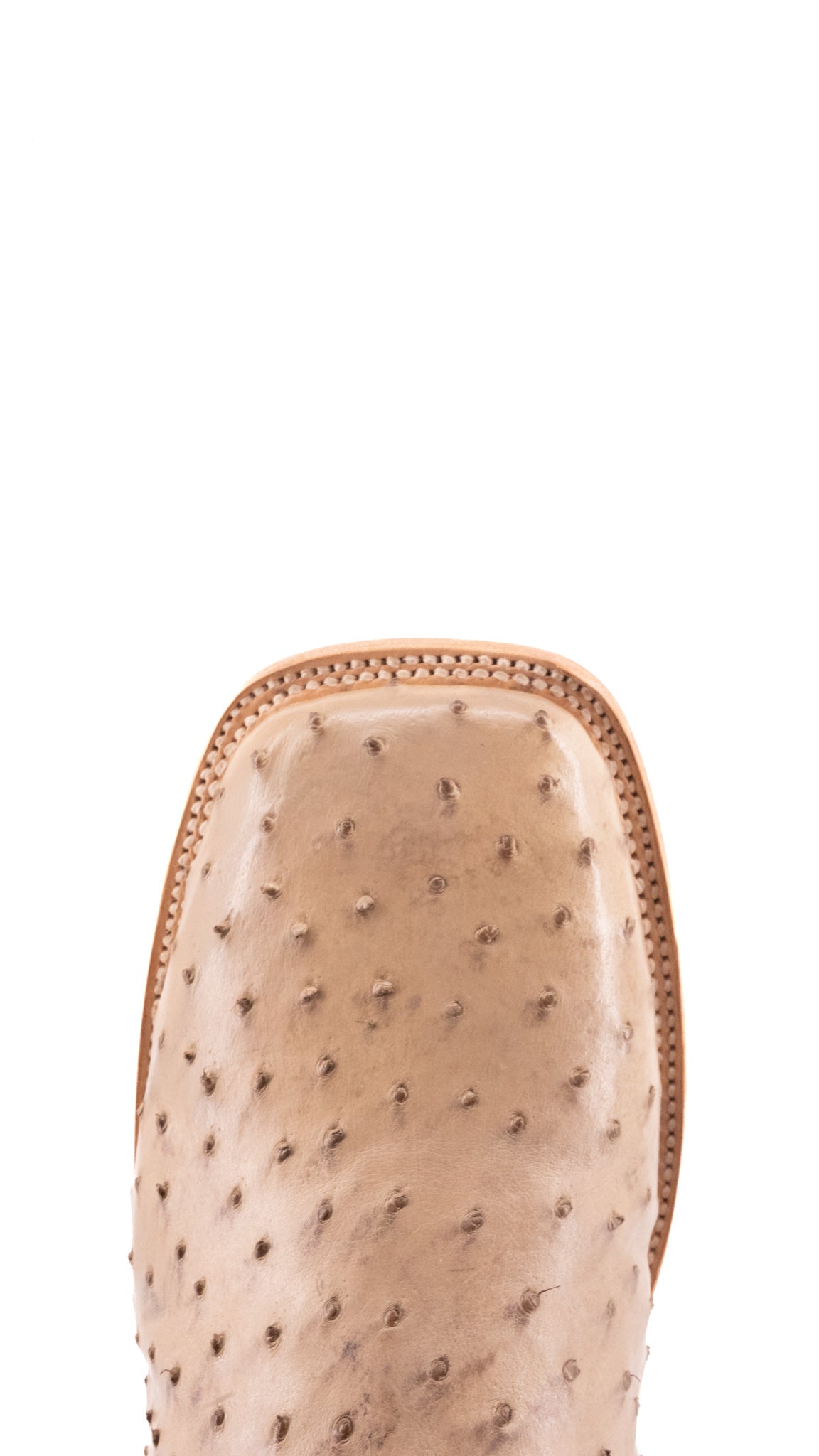 Monroe Ostrich Square Toe Cowboy Boot