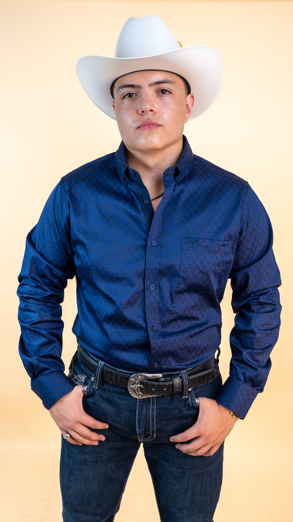 Platini Long Sleeve Brewer Button Up
