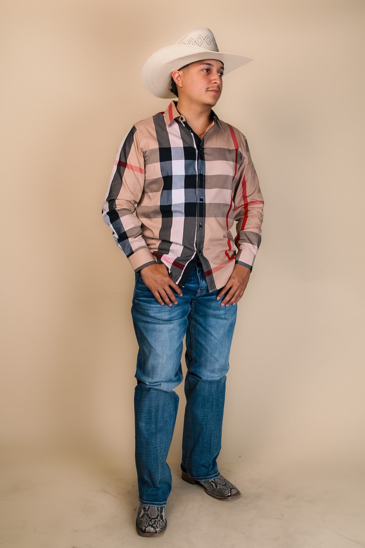 Baldelli Western Long Sleeve Dion Button Up