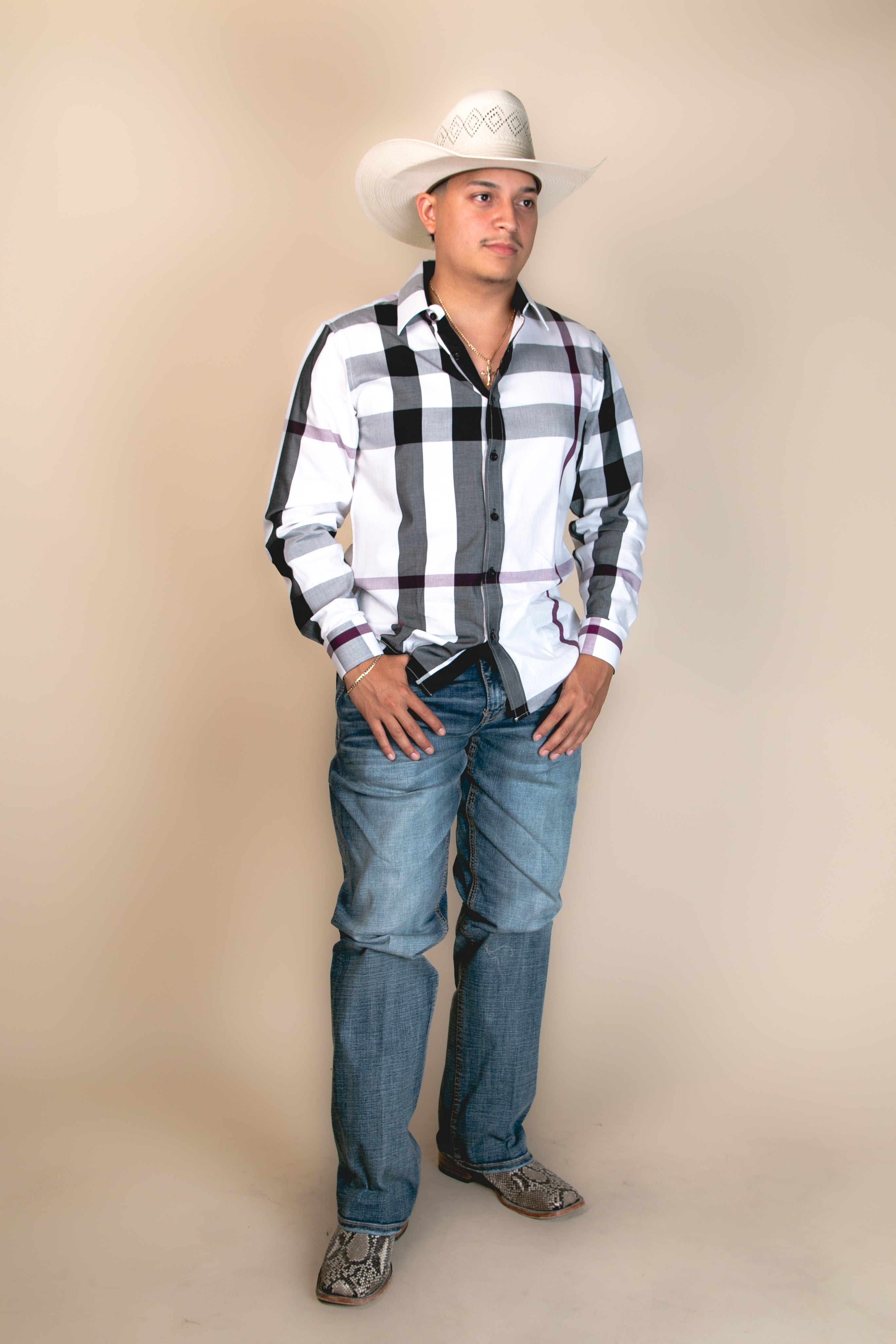 Baldelli Western Long Sleeve Dion Button Up