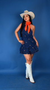 Rose Denim Mini Dress