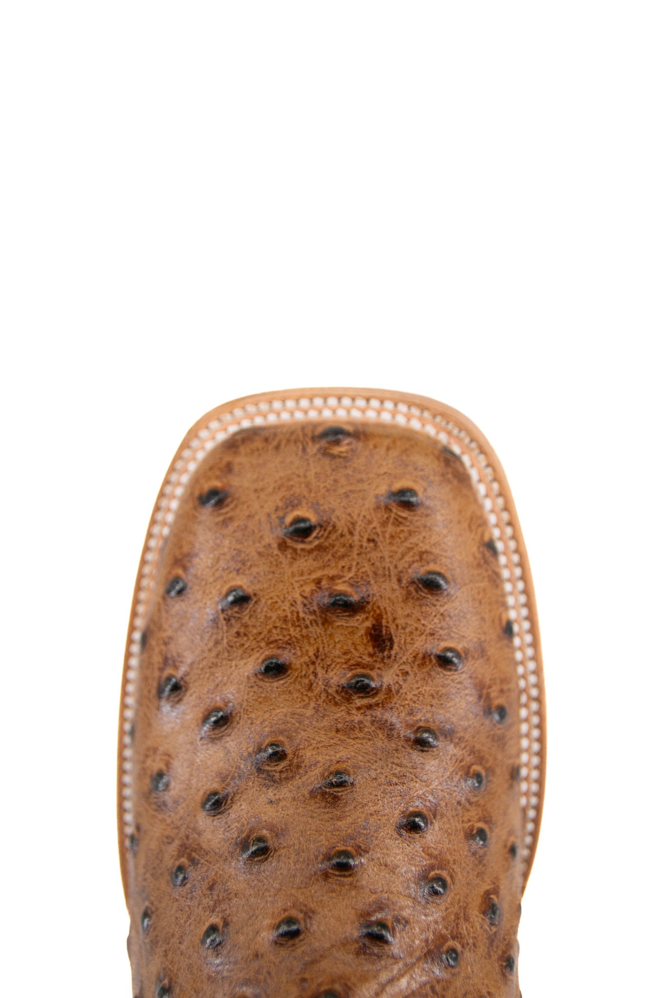 Top-down close-up of Bruce cowboy boot vamp in maple, showcasing the ostritch print detail, double stitching and square toe. 