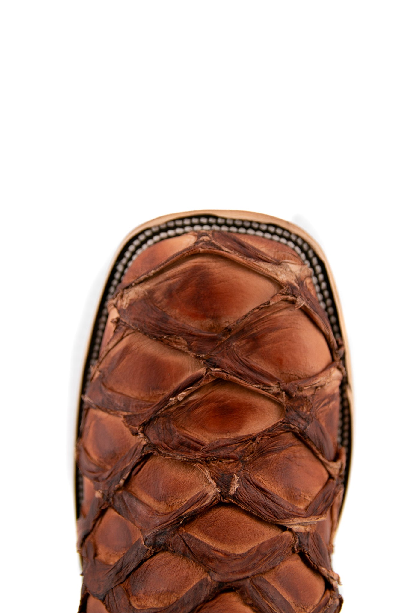 Exotic Fish Square Toe Cowboy Boot