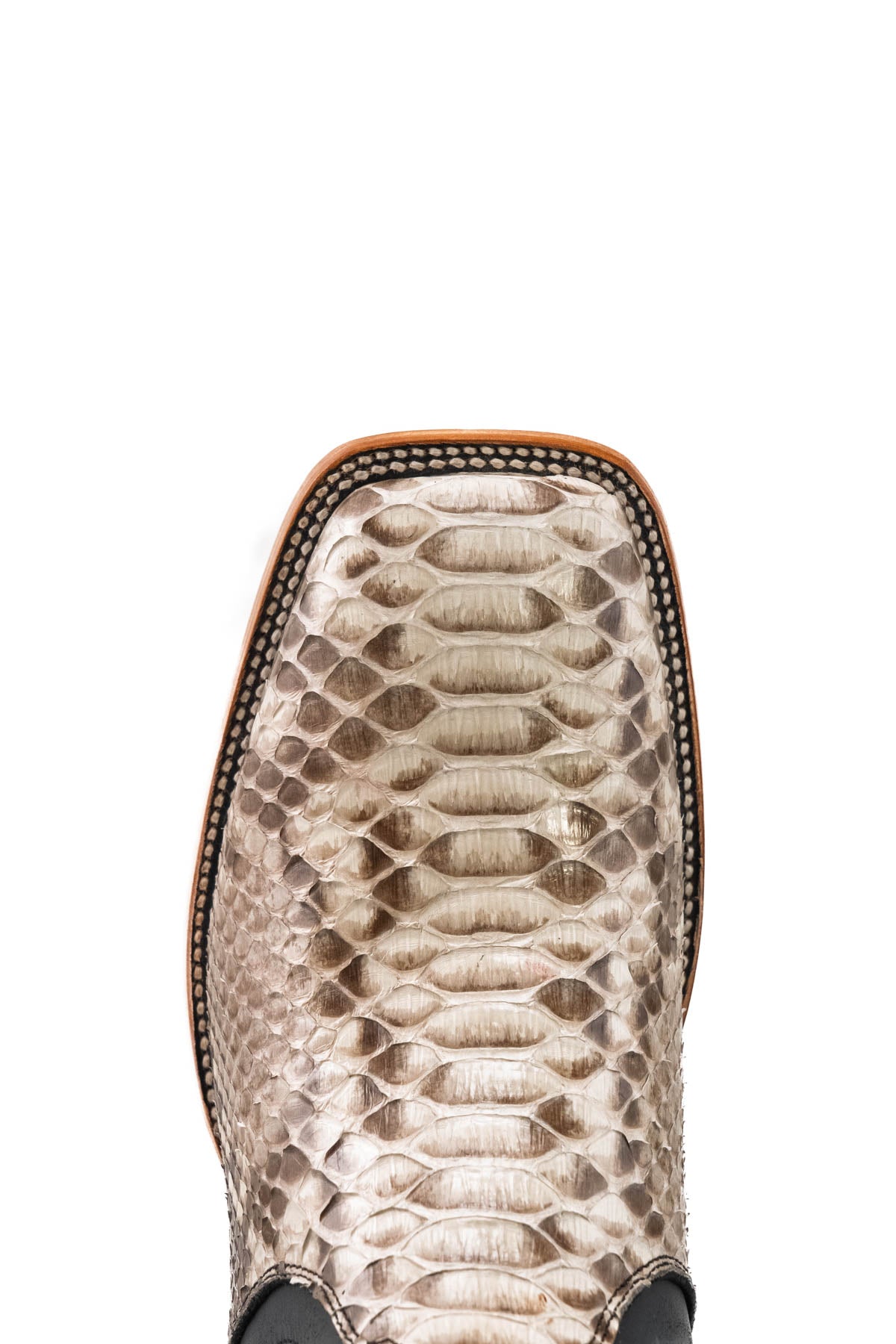 Python Wagner Square Toe Ankle Boot