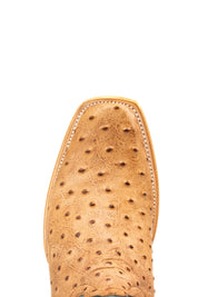 Renegate Ostrich Cutter Toe Cowboy Boot