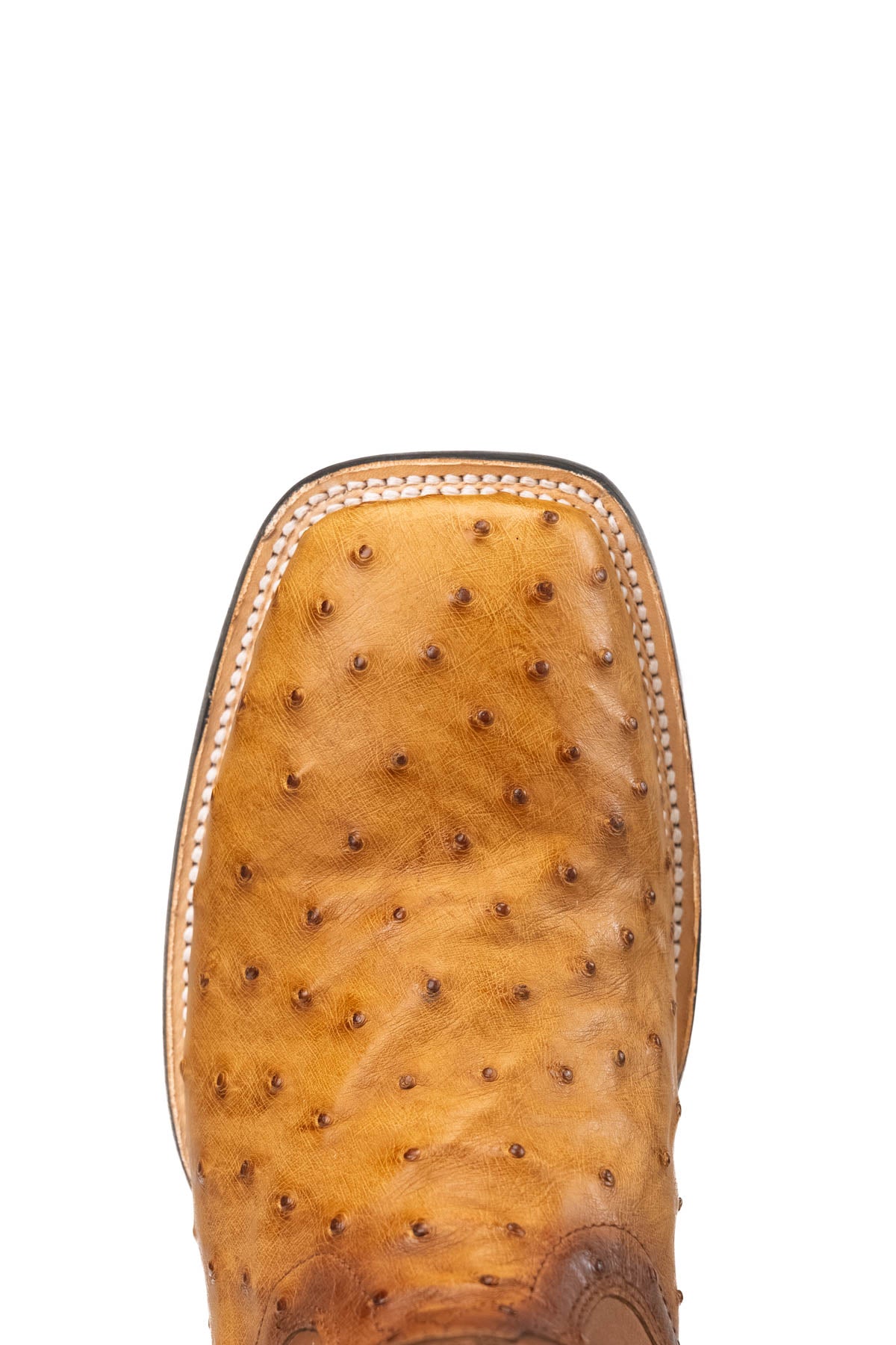 Ostrich Brady Square Toe Cowboy Boot