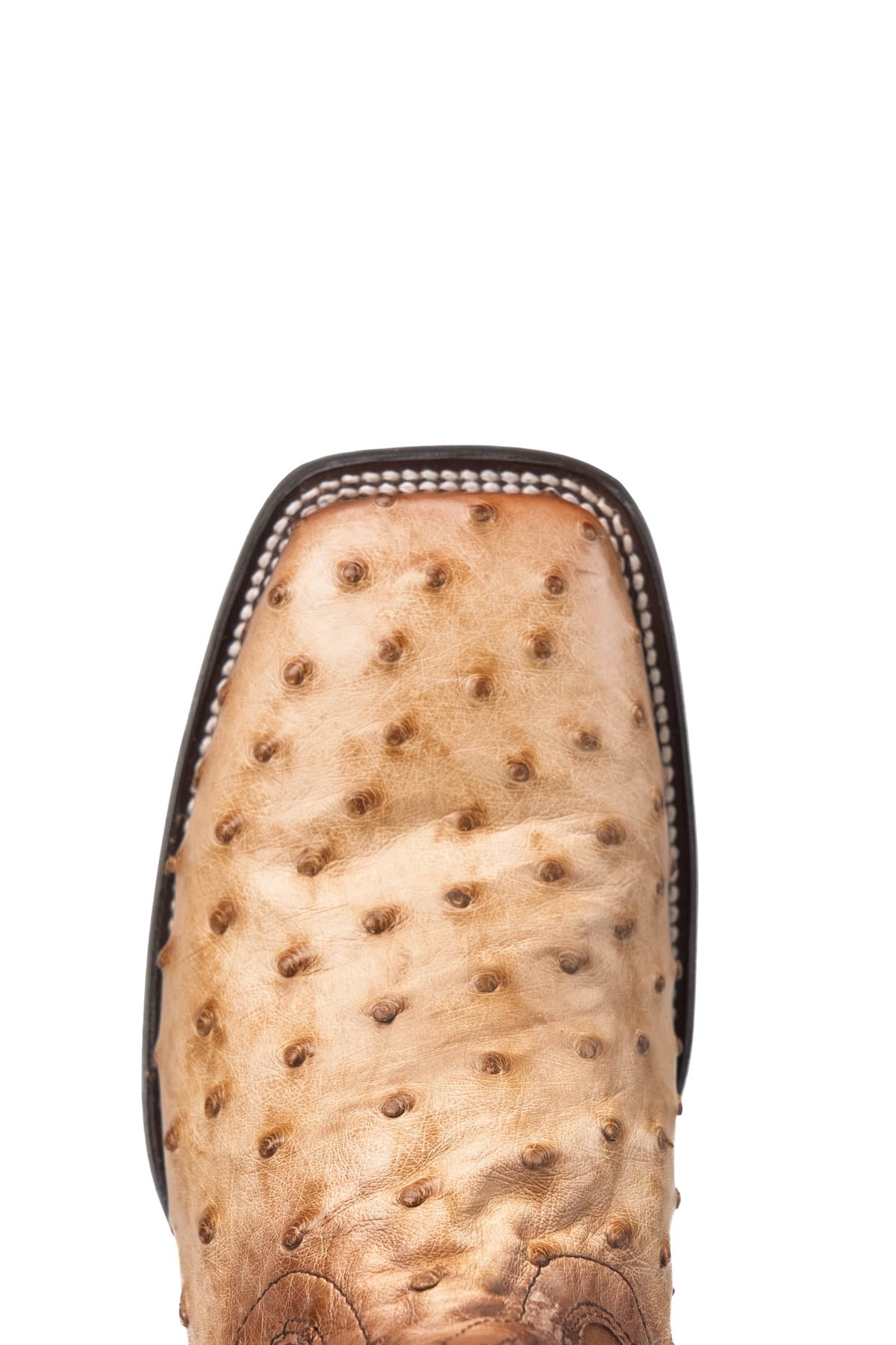 Ostrich Brady Square Toe Cowboy Boot