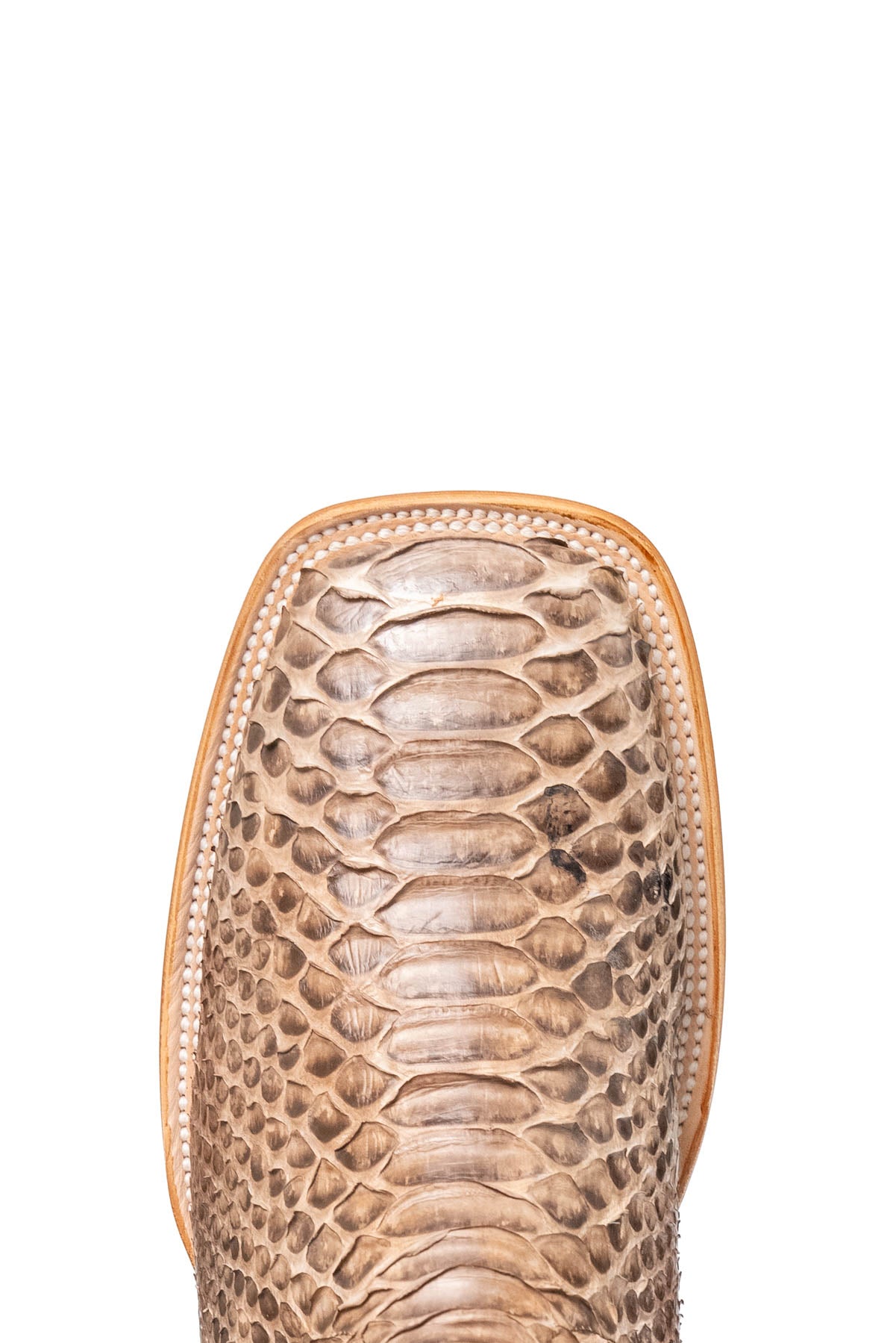 Monroe Python Square Toe Cowboy Boot
