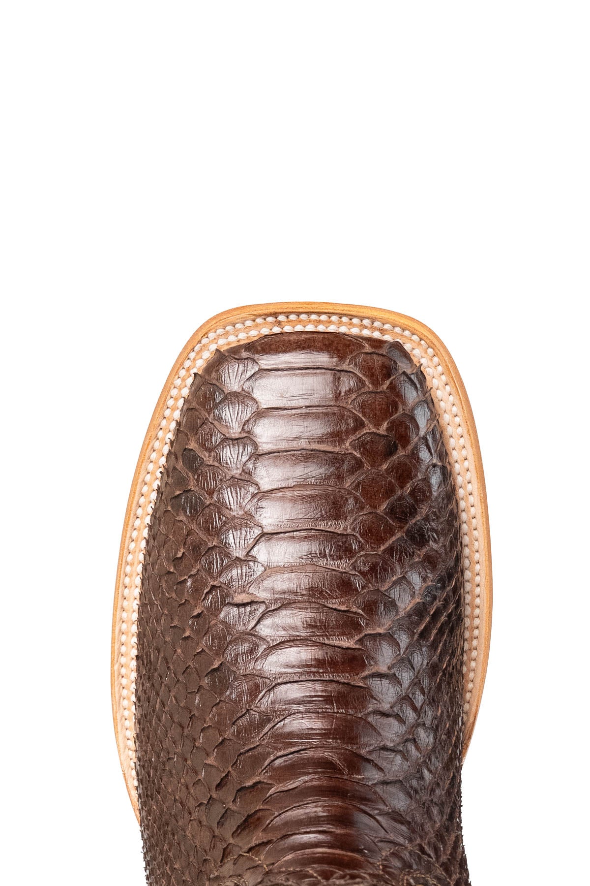 Monroe Python Square Toe Cowboy Boot