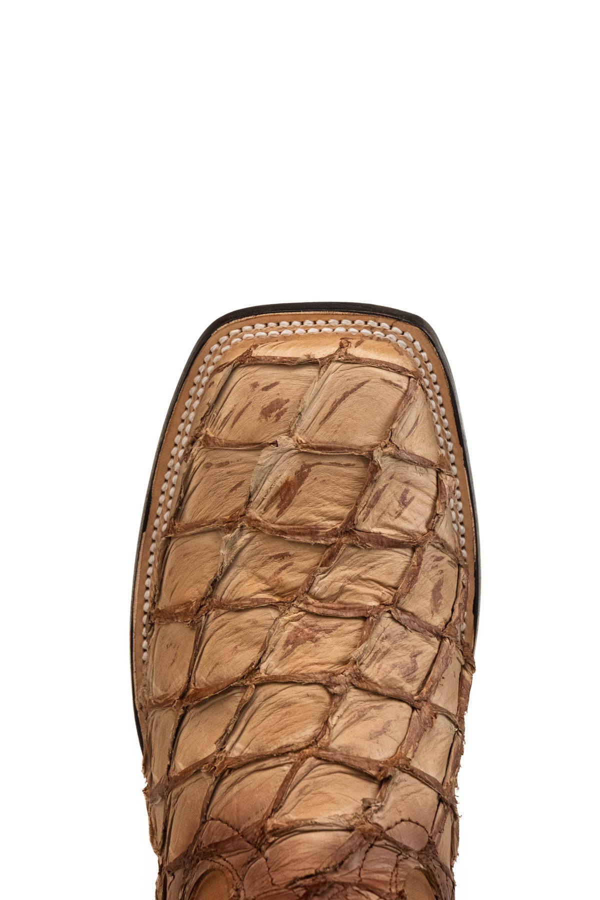 Pirarucu Limited Square Toe Cowboy Boot