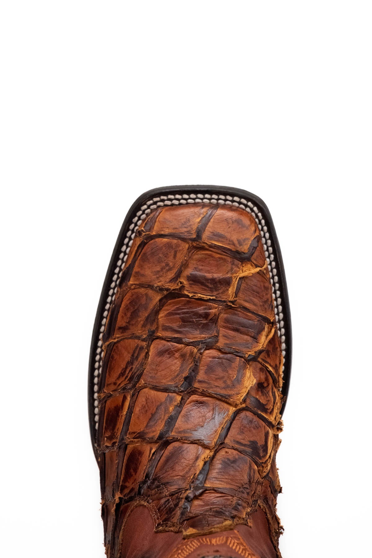 Pirarucu Limited Square Toe Cowboy Boot
