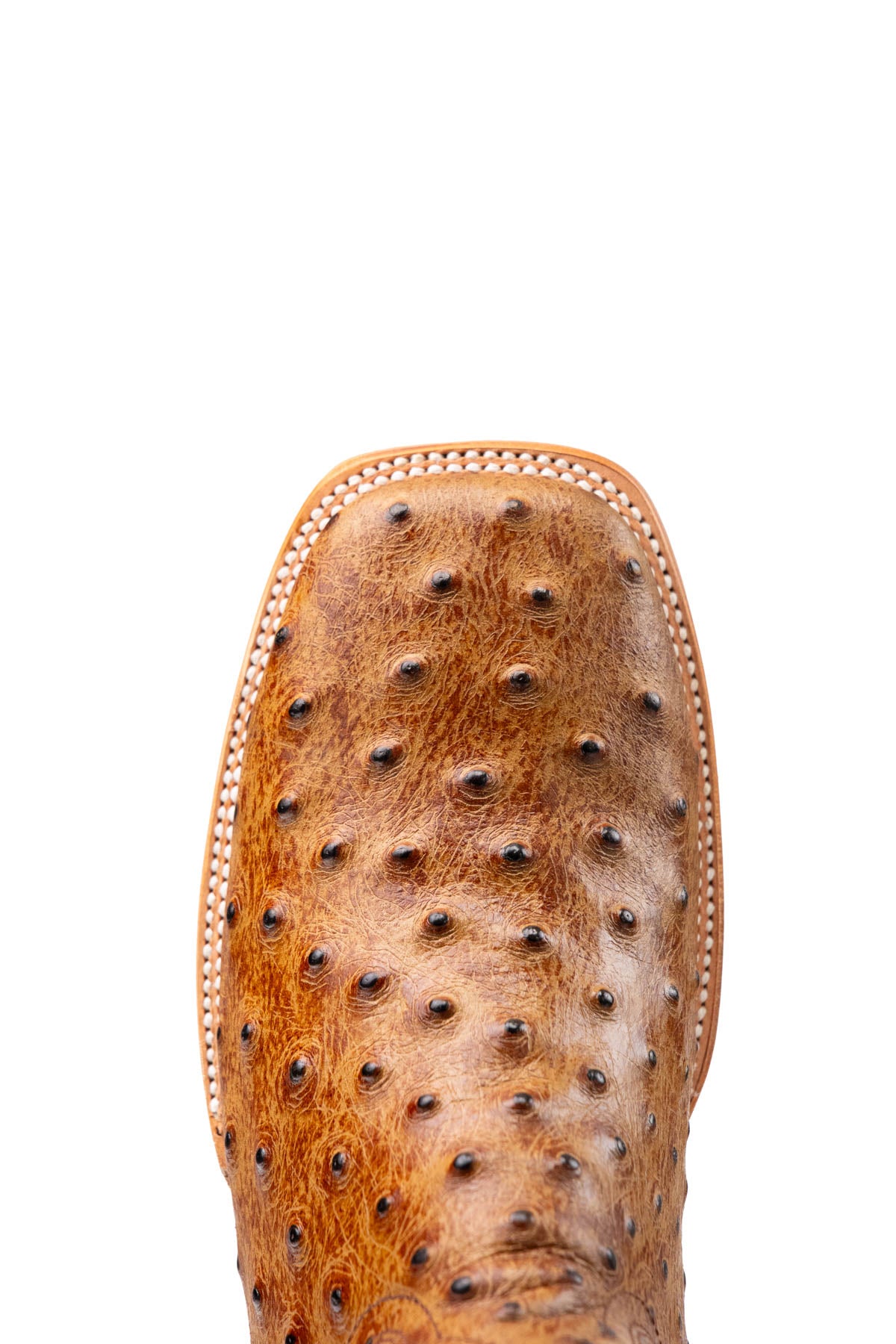 Bruce Ostrich Square Toe Cowboy Boot