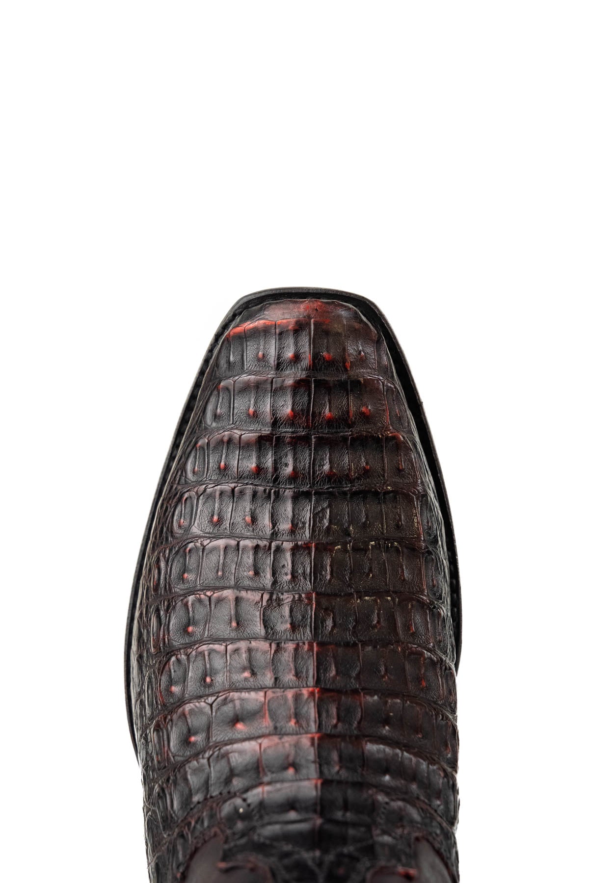 Caiman Belly Staterra Narrow Toe Cowboy Boot