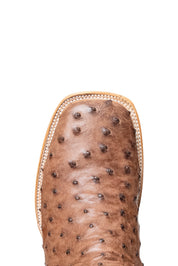 Monroe Ostrich Square Toe Cowboy Boot