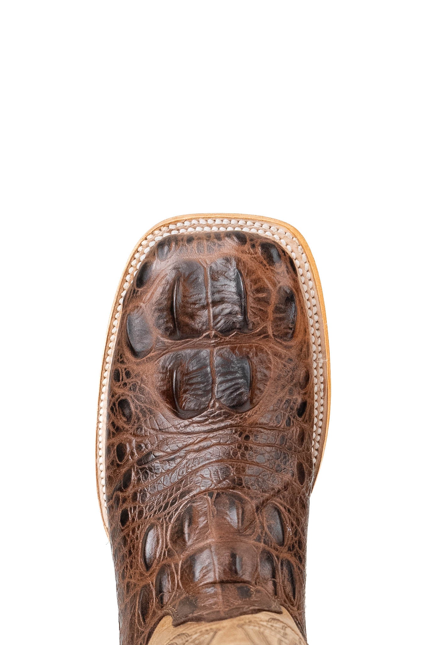 Top-down close-up of Giant Caiman Hornback cowboy boot vamp, highlighting the brown caiman print detail, double stitching and square toe.