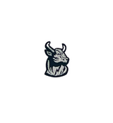 Rock'em Bull Hat Patch 2025
