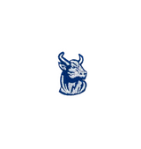 Rock'em Bull Hat Patch 2025