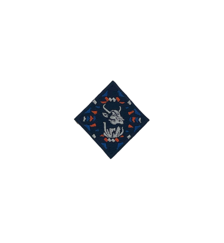 Diamond Rock' em Logo Hat Patch