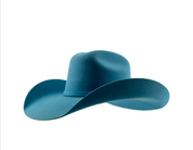 Rock'em 4X Damian Signature Color Edition Felt Hat