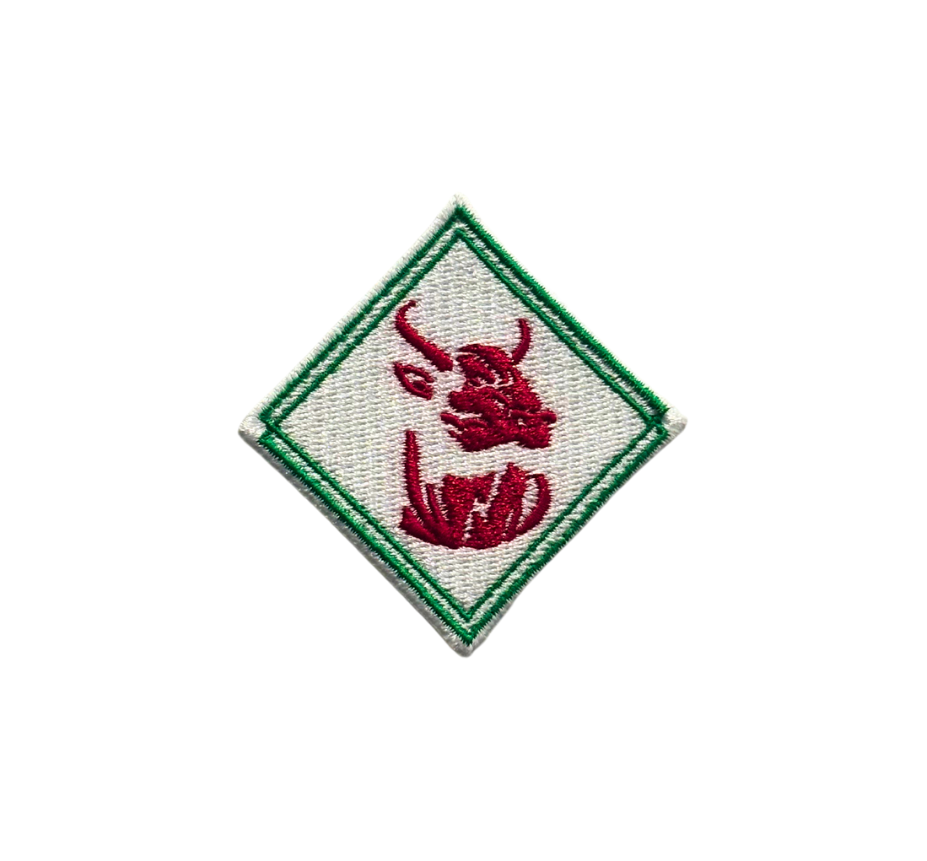 Rock'em Diamond Hat Patch 2024