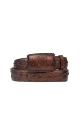 Tommy Exotic Ostrich Cowboy Belt