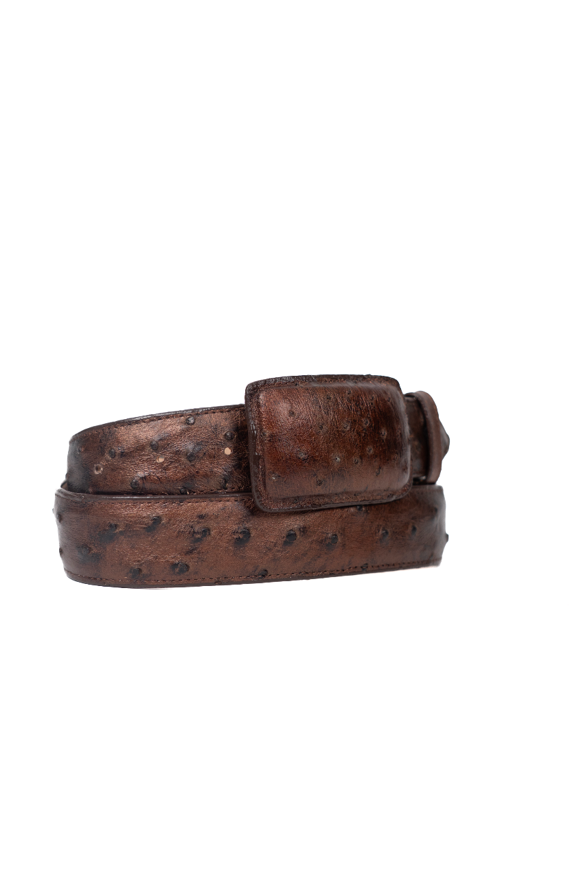 Tommy Exotic Ostrich Cowboy Belt