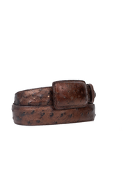 Tommy Exotic Ostrich Cowboy Belt